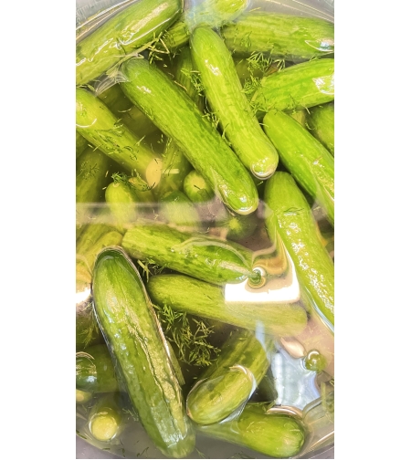 מלפפון בייבי