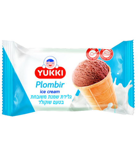 גלידה שמנת משובחת בטעם שוקולד