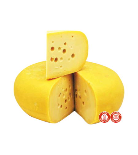 גבינה שוויצרית