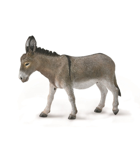 חמור (l)