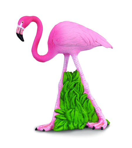 פלמינגו (M)