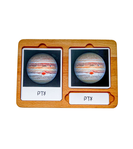 מגש כרטיסיות