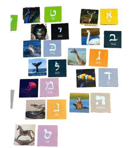 אותיות חיות- מגנטים