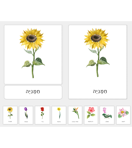 כרטיסיות בנושא פרחים