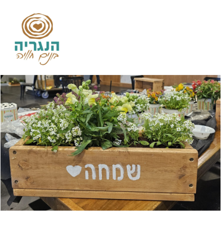ערכת 