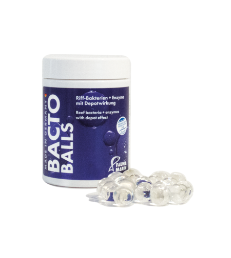בקטו ריף בולס כדוריות בקטריות בשחרור איטי פאונה מארין 100 מ