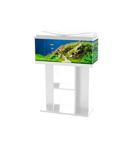 אקווריום הכל כלול 80 ס