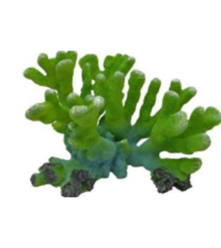 דקורציה אלמוג דגם SH325 G למים מלוחים ומתוקים - Coral decoration model SH325 G for salt and fresh water