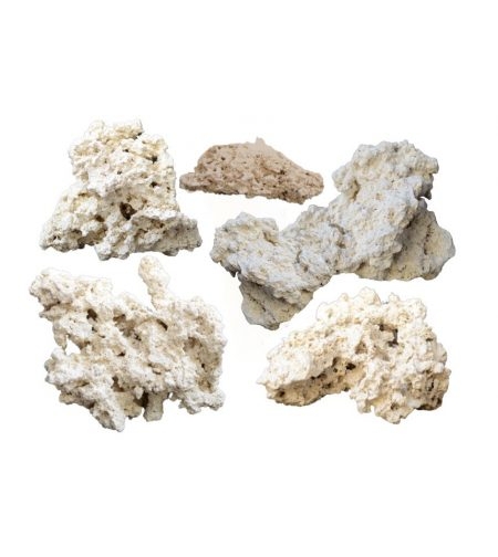 סלעים טבעיים אינדונזיים אקס פיור – בינוני 13-20 ס