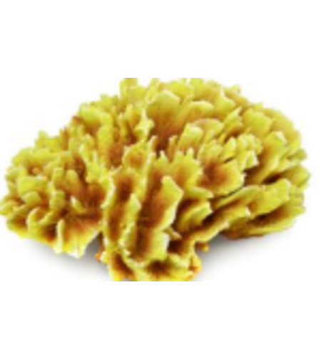 דקורציה אלמוג דגם HCL 196 למים מלוחים ומתוקים - Coral decoration model HCL 196 for salt and fresh water