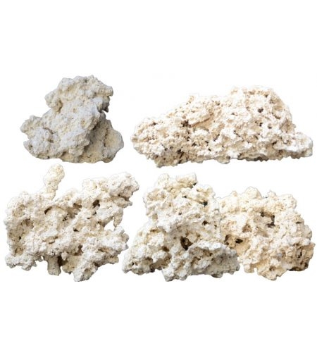 סלעים טבעיים אינדונזיים אקס פיור – גדול 18-30 ס