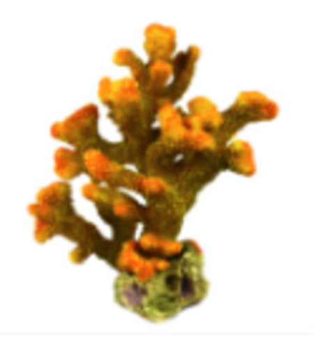 דקורציה אלמוג דגם HCL 147 למים מלוחים ומתוקים - Coral decoration model HCL 147 for salt and fresh water