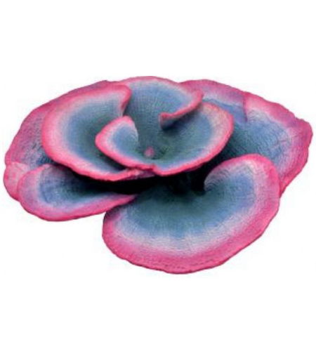 דקורציה אלמוג דגם HCL 198 למים מלוחים ומתוקים - Coral decoration model HCL 198 for salt and fresh water