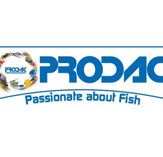 פרודק - PRODAC
