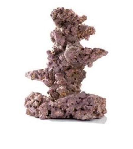 סלעים חיים לייף רוק קריב סי דגם עץ למסלעה 40ס