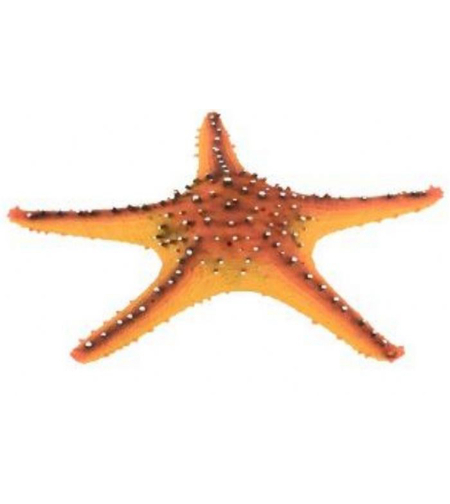 דקורציה אלמוג דגם LH 151 למים מלוחים ומתוקים - Coral decoration model LH 151 for salt and fresh water