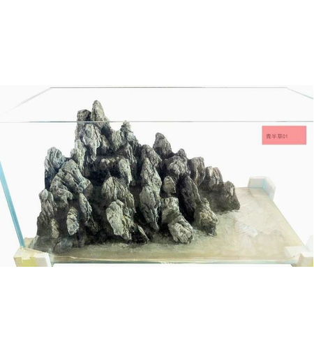 אקווריום 60 ס