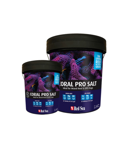 מלח רד סי שחור קורל פרו דלי 7 ק