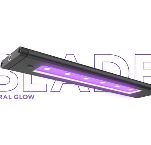 תאורת לד בלייד 100 ס