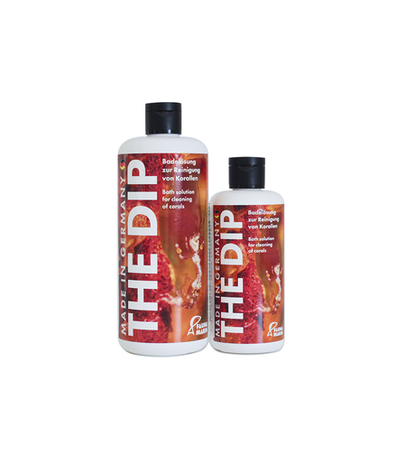 ה-דיפ לאלמוגים פאונה מארין - Fauna Marin The Dip