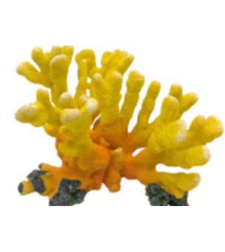 דקורציה אלמוג דגם SH 325 Y למים מלוחים ומתוקים - Coral decoration model SH 325 Y for salt and fresh water