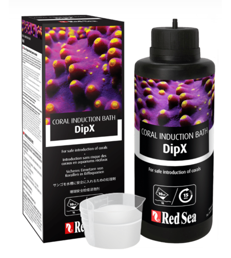 דיפ אלמוגים רד סי 500 מ