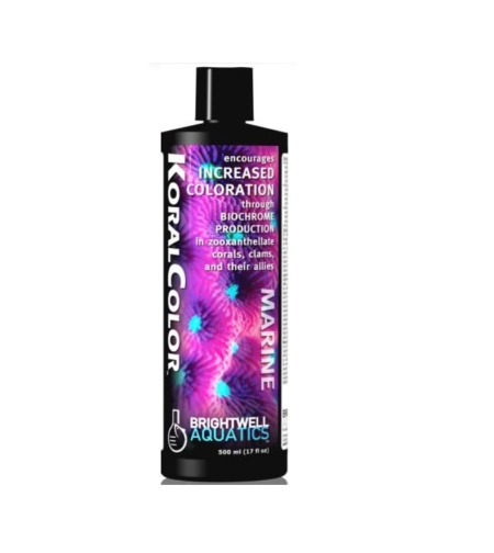 קורל קולור ברייטוול תוסף לחיזוק צבע BRIGHTWELL KoralColor
