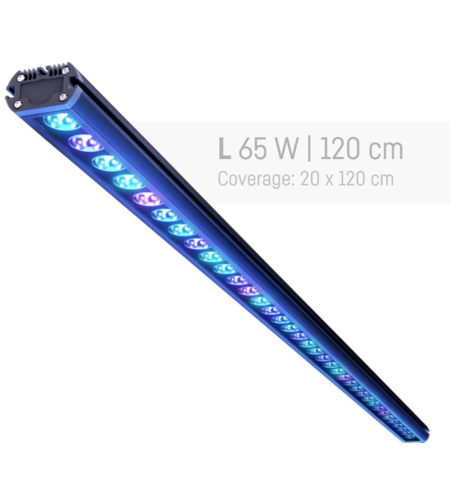 תאורת לד ריף פלייר בר ריף פקטורי 120 ס