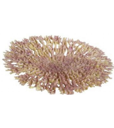 דקורציה אלמוג דגם AFC 144 למים מלוחים ומתוקים - Coral decoration model AFC 144 for salt and fresh water