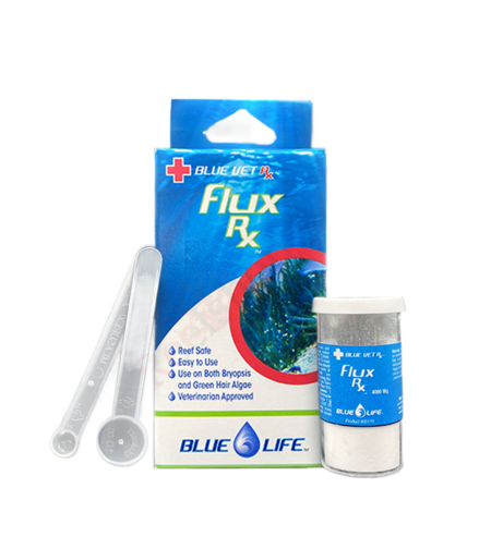 תכשיר לטיפול באצות פלוקס RX בלו לייף 7000 מ