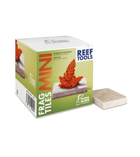 אריחים לפראגים פאונה מארין  במידה 50×50 מ