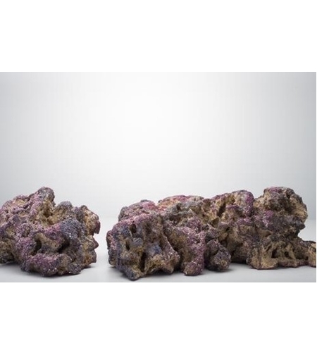 סלעים חיים לייף רוק קריב סי דגם מדפים למסלעה 18 ק