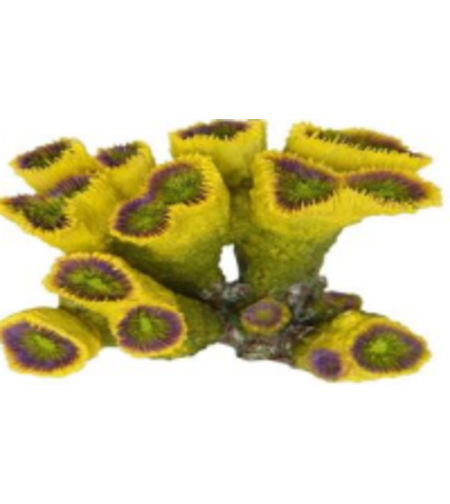 דקורציה אלמוג דגם HCL 037 למים מלוחים ומתוקים - Coral decoration model HCL 037 for salt and fresh water