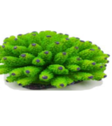 דקורציה אלמוג דגם SH 324 G למים מלוחים ומתוקים - Coral decoration model SH 324 G for salt and fresh water
