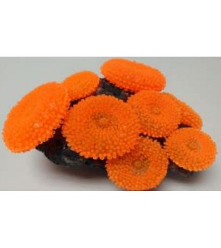 דקורציה אלמוג דגם SH 314 R למים מלוחים ומתוקים - Coral decoration model SH 314 R for salt and fresh water