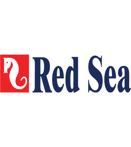 רד סי Red Sea