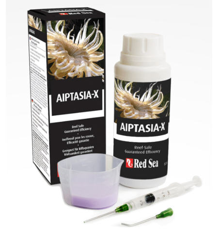 אפטזיה איקס רד סי 60 מ