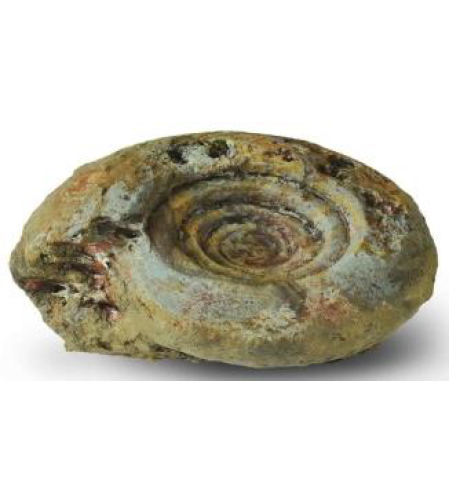 סלע דקורציה סטייל אמונייט דגם 4 אקווריסטיק - 4 Decorative Rock Ammonite module
