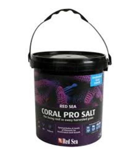 מלח רד סי שחור קורל פרו דלי 7 ק