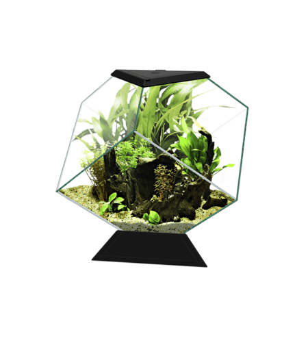 אקווריום שחור/לבן מעוצב בצורת יהלום ציאנו נקסוס 14C כולל פילטר -  Ciano Nexus 14C Diamond Shaped Aquarium