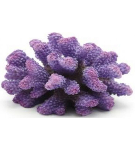 דקורציה אלמוג דגם SH 439 P מלוחים ומתוקים - Coral decoration model SH 439 P for salt and fresh water