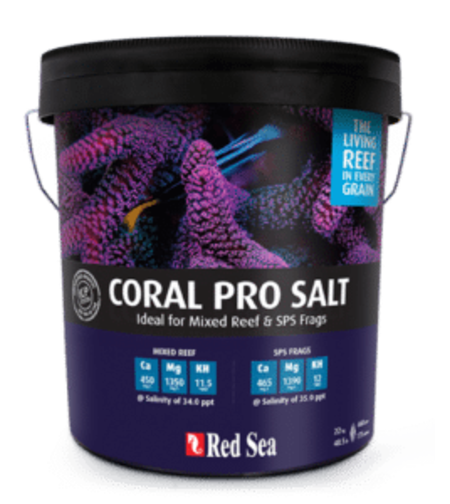 מלח רד סי שחור קורל פרו דלי 22 ק