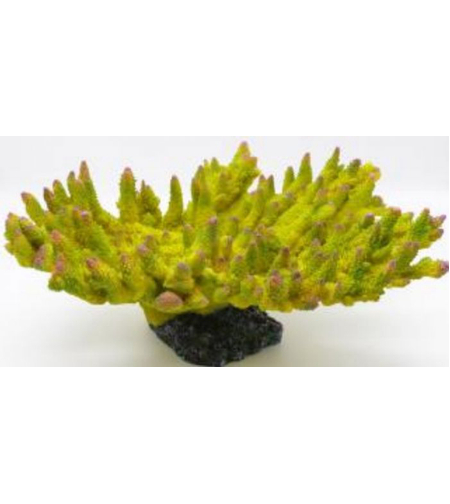 דקורציה אלמוג דגם SH 443 G מלוחים ומתוקים - Coral decoration model SH 443 G for salt and fresh water