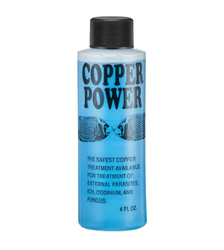 תכשיר קופר פאוור לטיפול בטפילים למים מלוחים - POWER COPPER Safe CU solution for Saltwater