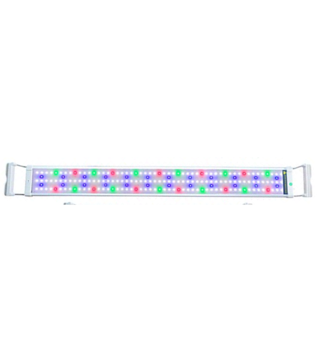 תאורת לד RGB למים מתוקים ומלוחים אקס לד 110 ס