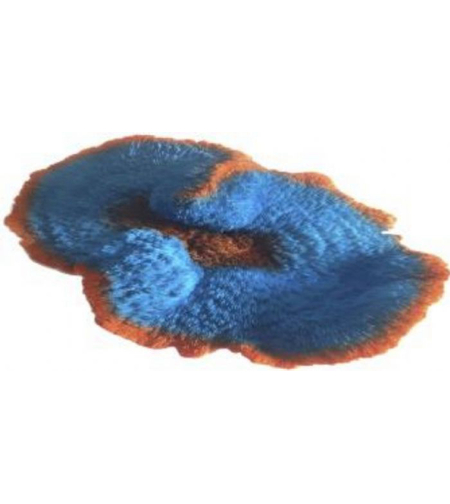 דקורציה אלמוג דגם SH 133 למים מלוחים ומתוקים - Coral decoration model SH 133 for salt and fresh water