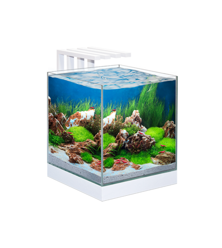 אקווריום הכל כלול 29 ס