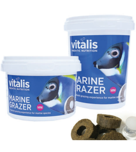 מזון מרין גרייזר טבליות 260 גרם ויטליס Vitalis Marine Grazer