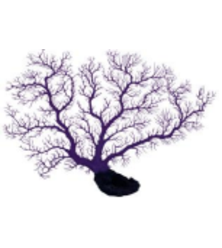 דקורציה אלמוג דגם SH 8005 P למים מלוחים ומתוקים - Coral decoration model SH 8005 P for salt and fresh water