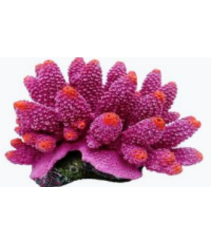 דקורציה אלמוג דגם SH 343 P למים מלוחים ומתוקים - Coral decoration model SH 343 P for salt and fresh water